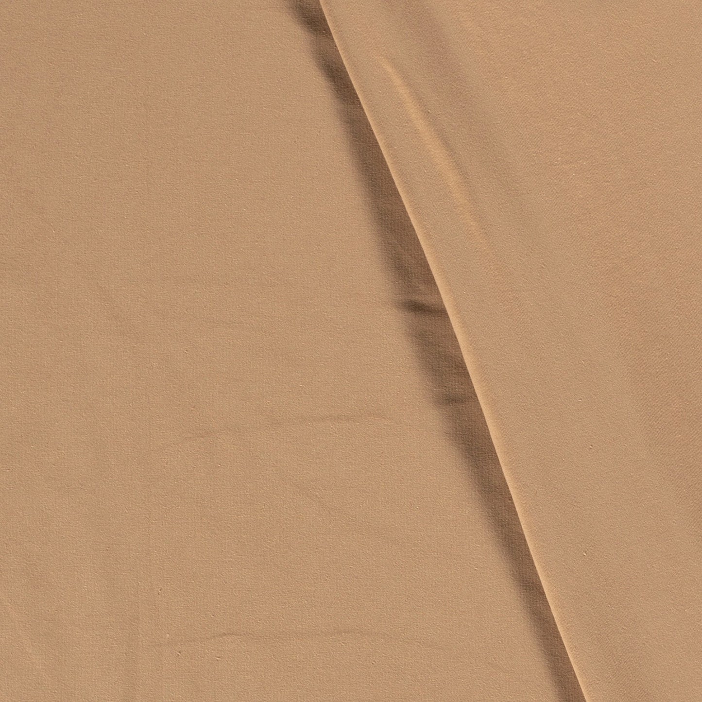 Jersey de coton Uni Muscade