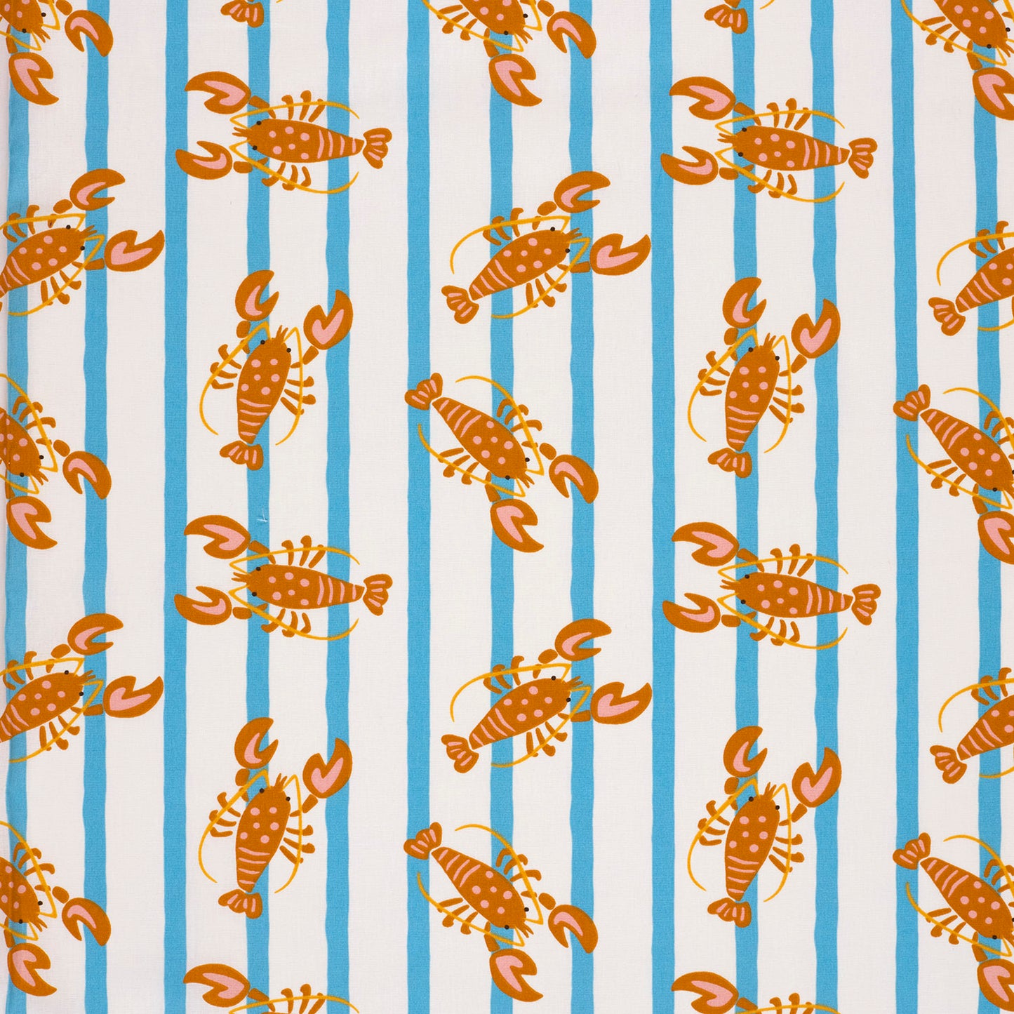 Popeline de coton Homard